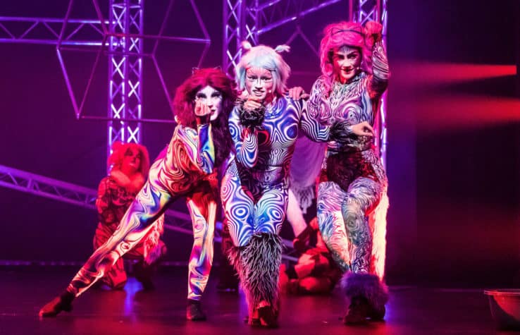 cats the musical perth