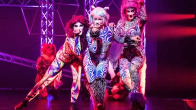 cats the musical perth