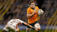 wallabies england rugby ticketmaster ticket tips